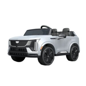24V Remote Control Ride on Kids Car | 2 Seater Ride on Car Power Wheels