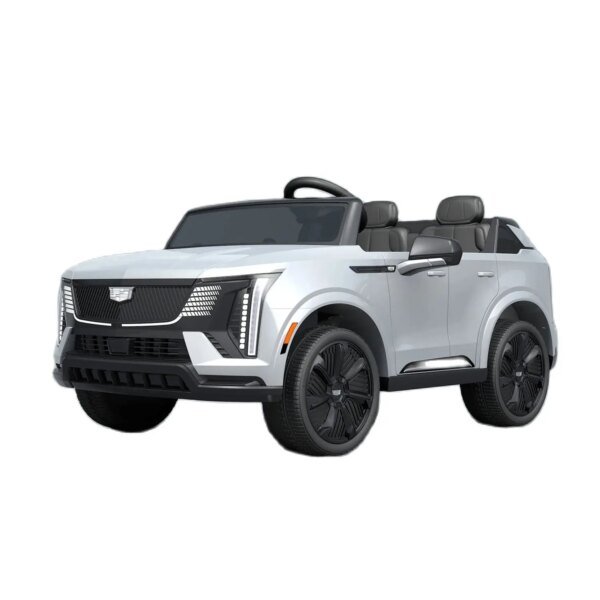 24V Remote Control Ride on Kids Car | 2 Seater Ride on Car Power Wheels